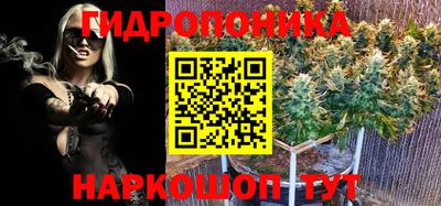 ешки Дубна