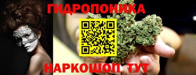ешки Дубна