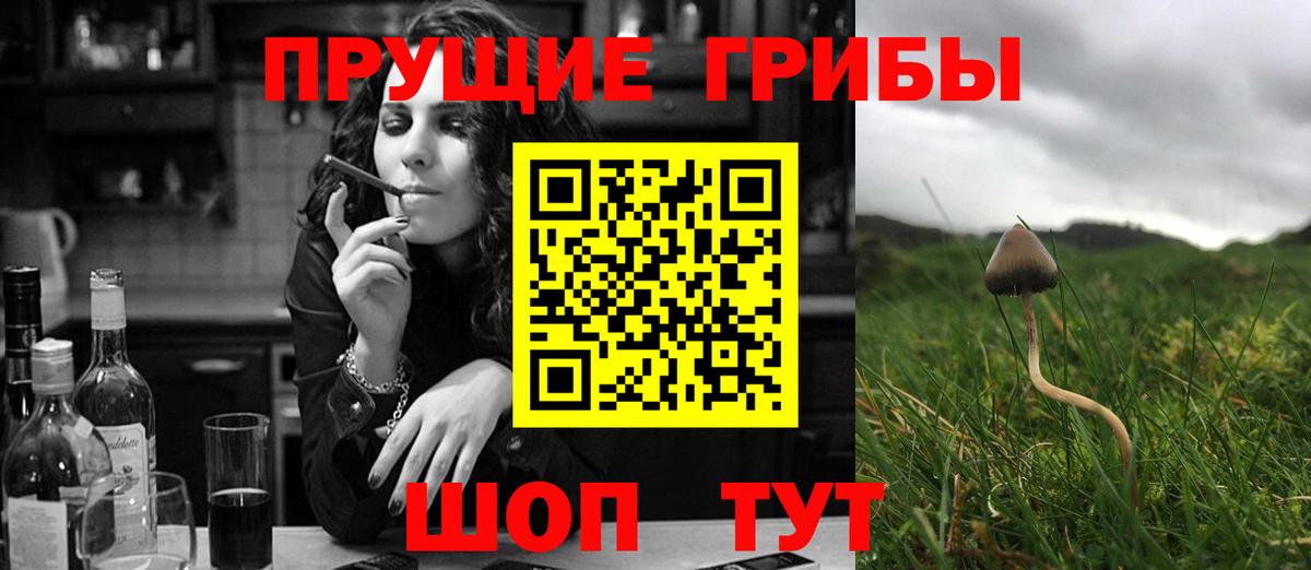 Галлюциногенные грибы MAGIC MUSHROOMS Луховицы