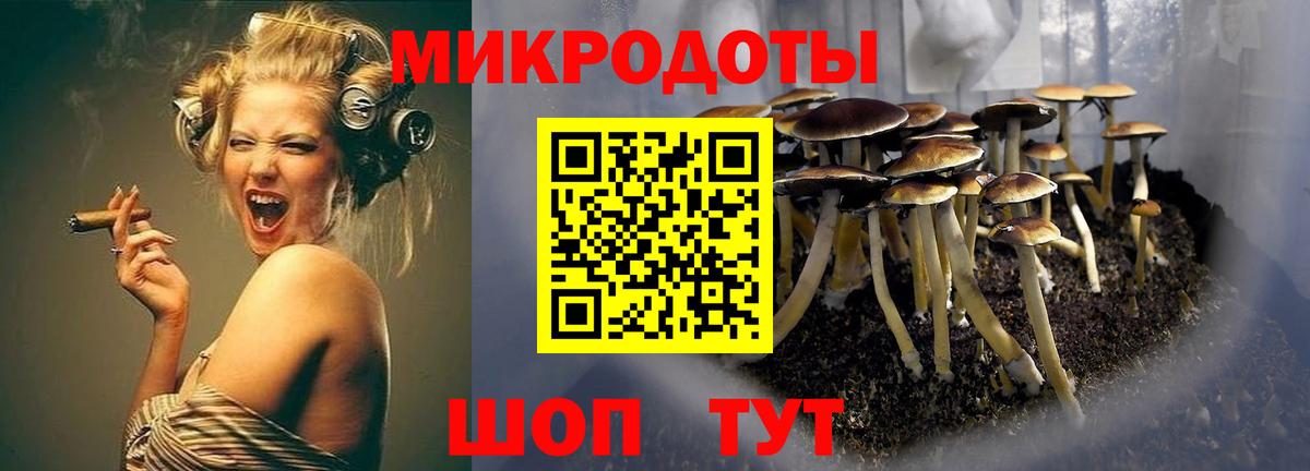 Галлюциногенные грибы Psilocybine cubensis  Вход с VPN  Луховицы 