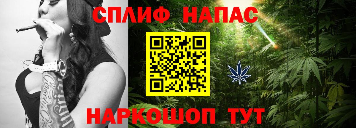 Бошки Шишки Amnesia Луховицы